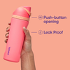 Owala FreeSip Insulated Stainless Steel Water Bottle with Straw for Sports and Travel, BPA-Free, 32-Ounce, Hyper Flamingo