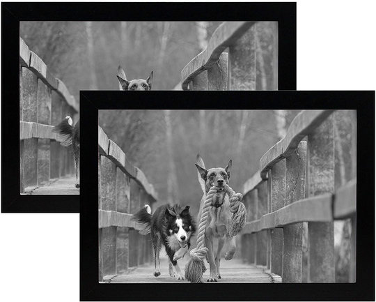 8x12 Black Gallery Picture Frame 2-Pack - Wide Molding - Includes Both Attached Hanging Hardware and Desktop Easel - Display Pictures 8 x 12 Inches - Eight by Twelve - Two Frames