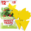 Fruit Fly Trap for Kitchen - Fungus Gnat Traps House Plants, Yellow Sticky Fly Traps for Indoor Plants Insects