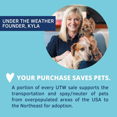 Under the Weather Pets | Ready Cal for Cats & Dogs | High Calorie Nutritional Supplement for Weight Gain & Not Eating | 9 Vitamins, 7 Minerals, Fatty Acids