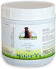 Spring Pet Canine Multi-Vitamin YUMS ~ Formulated with a Comprehensive Blend of Complete Vitamins and Minerals ~ for Use in Dogs Puppies Only ~ Made in USA ~ Recommended by Veterinarians