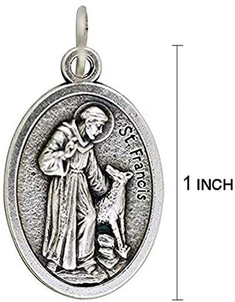 Religious Gifts St Francis Dog Tag - Saint Francis of Assisi Silver Tone Pet Medal, 1 Inch