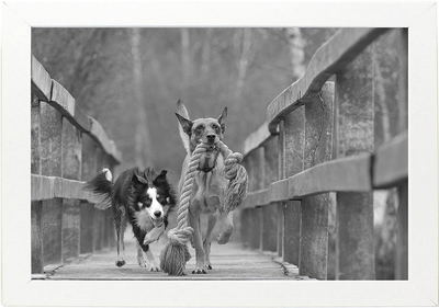 8x12 Black Gallery Picture Frame 2-Pack - Wide Molding - Includes Both Attached Hanging Hardware and Desktop Easel - Display Pictures 8 x 12 Inches - Eight by Twelve - Two Frames