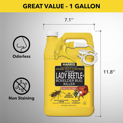 HARRIS Asian Lady Beetle, Japanese Beetle, and Box Elder Killer, Liquid Spray with Odorless and Non-Staining Extended Residual Kill Formula (Gallon)