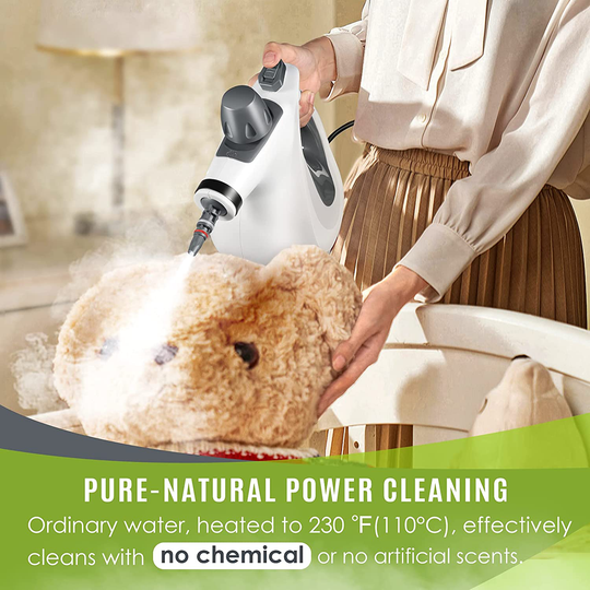 Handheld Steam Cleaner, Pressurized Steam Cleaner with 11 Piece Accessory Set for Home Use, Multi-Surface All Natural Steamer for Cleaning Carpet