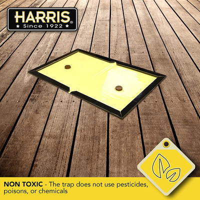 Harris Snake Glue Trap, Super Sized for Snakes, Rats, Mice and Insects