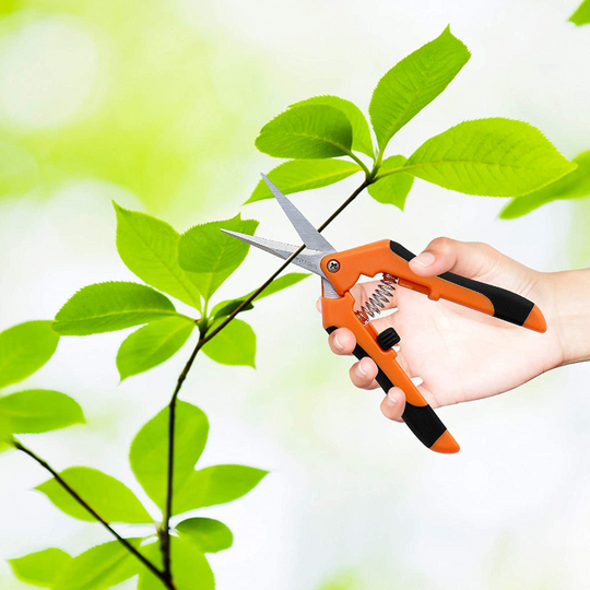 2 Pack 6.5'' Hand Pruning Shears