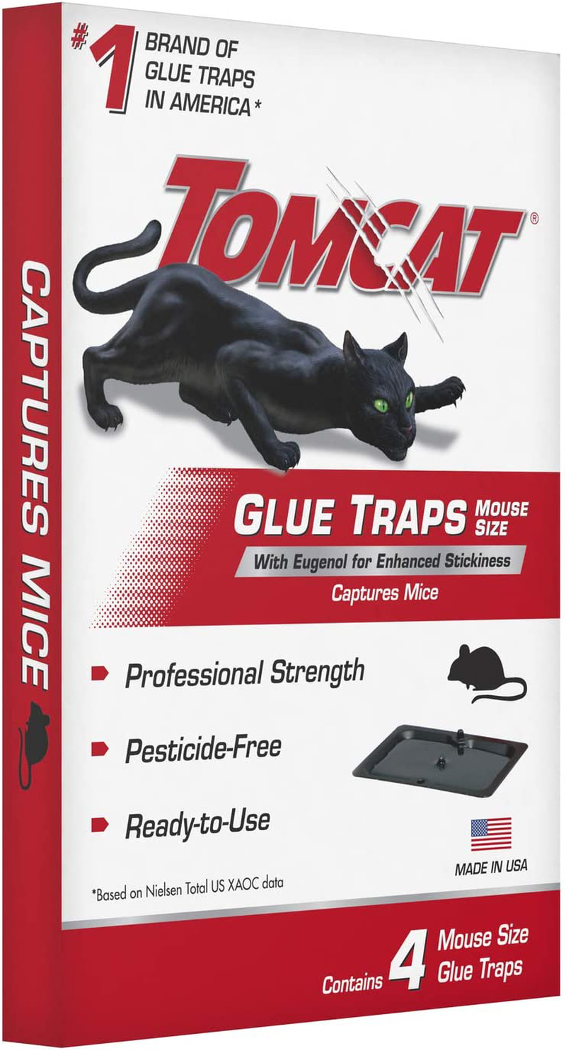 Tomcat 032310 Household Pests, Professional Strength Glue Size with Eugenol for Enhanced Stickiness