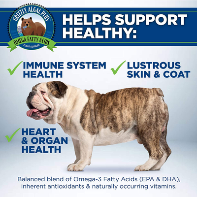 Grizzly Algal Plus Omega Fatty Acids Food Supplement for Dogs & Cats (Various Sizes) - Vegan, Sourced & Made in USA, Plant-Sourced Algal Oil Omega 3-6-9, Lustrous Skin & Coat