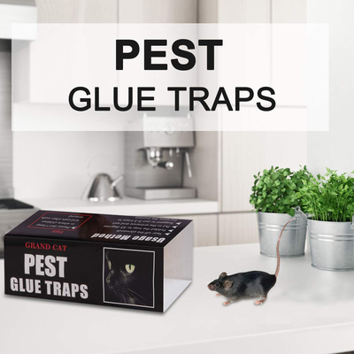 Mouse Glue Traps Large Size,5 Pieces Peanut Butter Mouse Traps Glue Pads Super Sticky Boards for Indoor and Outdoor Mice, Rats, Cockroach, Spiders