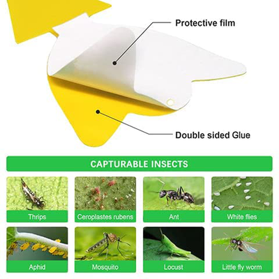 Sticky Traps for Fruit Fly Fungus Gnat, Mosquito & Bug 2 Ways Use-Hangable & Insertable, Best Effective Capture, Yellow Extremely Sticky Insect Trap Indoor/Outdoor/Kitchen Non-Toxic, 4 Shapes