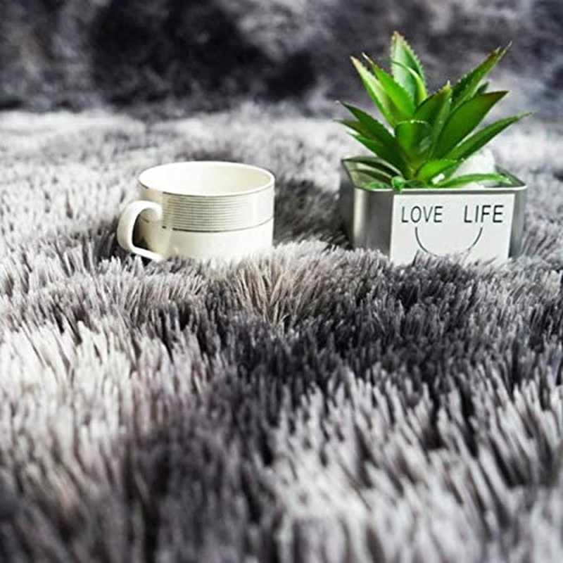 Soft Modern Indoor Shaggy 2x3 Rug for Bedroom Livingroom Dorm Kids Room Home Decorative, Non-Slip Plush Fluffy Furry Fur Area Rugs Comfy Nursery Accent Floor Carpet Coffee