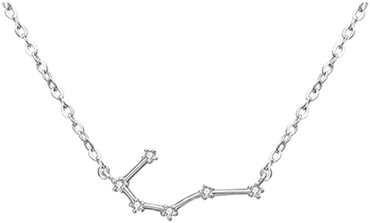 925 Sterling SilverCZ Horoscope Zodiac 12 Constellation Astrology Pendant Necklace for Women Girls Teen Girls and Kids Birthday Gift