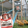 Bigtime Signs Chicken Coop Sign - Protected by Attack Chickens, Distressed Finish - Funny Coop, Farm, Home, Outdoor, Rooster/Hen House Decorations - Gamefowl Barn, Outdoor Shed Accessories