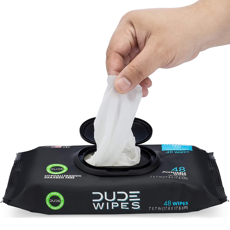 DUDE Wipes Flushable Wipes Dispenser, 48 Count (Pack of 1)