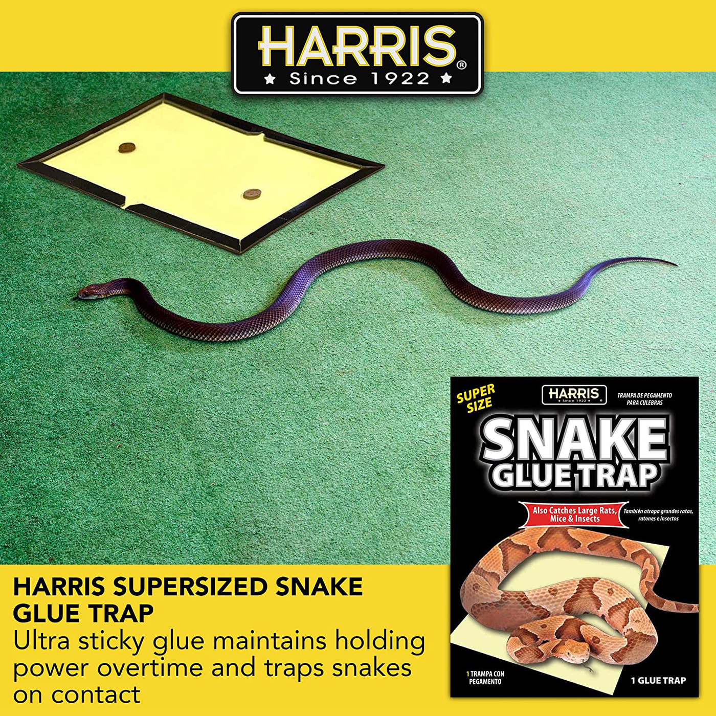 Harris Snake Glue Trap, Super Sized for Snakes, Rats, Mice and Insects