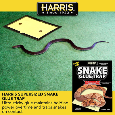 Harris Snake Glue Trap, Super Sized for Snakes, Rats, Mice and Insects