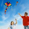 Easy Flyer Rainbow Delta Kite With Kit Line And Swivel Included