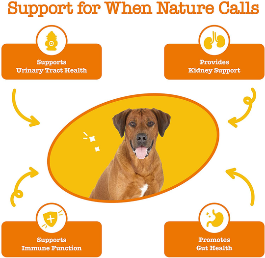 Zesty Paws Cranberry Bites for Dogs - Kidney, Bladder & Urinary Tract (UT) Support - Functional Dog Supplement with D Mannose, Marshmallow & Organic Astragalus - Immune System Support for Canine Pets