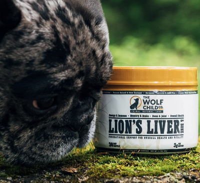 The Wolf Child Co. Lion’s Liver and Bone - Multivitamin Supplement for Dogs - Organic Lion’s Mane Mushroom, Grass-fed Beef Liver & Bone Extract | Energy, Immune, Brain, Bone & Joint | 30 Day Supply