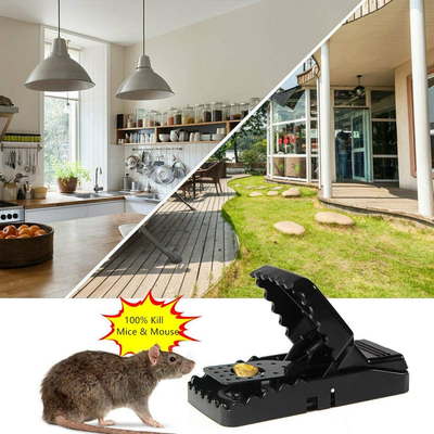 Mouse Trap, Mice Traps That Work Best Snap Traps for Small Mice and Mouse Outdoor Indoor Quick Kill and Reusable Mouse Traps 6 Pack