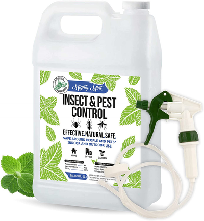 Mighty Mint Gallon (128 oz) Insect and Pest Control Peppermint Oil - Natural Spray for Spiders, Ants, and More - Non Toxic