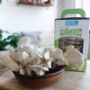 Organic Non-GMO Mushroom Grow Kit