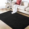 5X8 Teal Area Rugs for Living Room Super Soft Floor Fluffy Carpet Natural Comfy Thick Fur Mat Princess Girls Room Rug