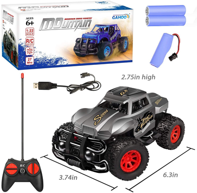 GaHoo Remote Control Car for Kids - Durable Non-Slip Off-Road Shockproof RC Racing Car (Gray) RC Toys Car for Ages 3 4 5 6 7 8 Year Old Boys and Girls Best Gifts