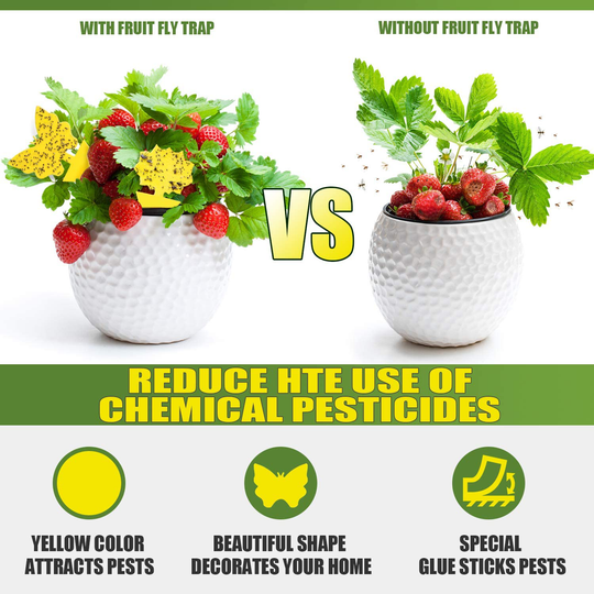 Fruit Fly Traps Indoor Sticky Glue Gnat Trap 24pcs Fungus Gnat Killer for Kitchen House Outdoor Plant Fly Paper Flying Insect Catcher