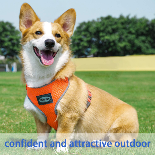 Reflective Breathable Soft Air Mesh No Pull Puppy Harness For Small To Medium Dogs And Cats