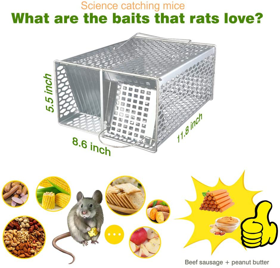 ROCKBIRDS Rat Traps - Humane Continuous Catch Live Animal Trap for Rat, Large Mouse, Chipmunk, Squirrel and Weasel, Reusable for Indoor and Outdoor Use, Safe for Kids and Pets 