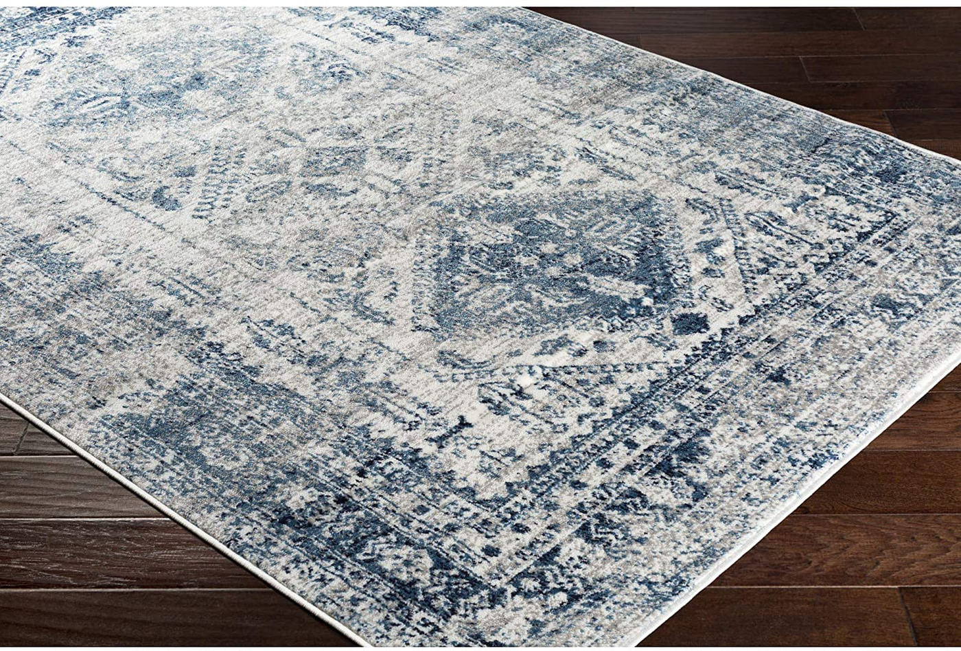 Artistic Weavers Desta Blue/White Area Rug, 3'11" x 5'7"