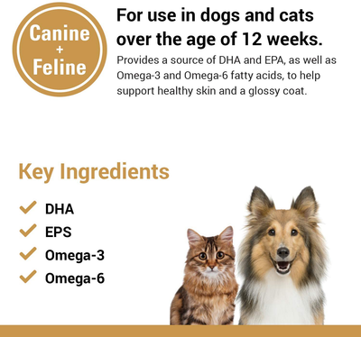 Vet Classics Salmon Oil Pet Supplement for Healthy Skin, Glossy Coats – Dog Coat Supplement, Cat Skin Supplement – Includes Omega-3, 6, 9, Source of DHA, EPA – Soft Chews 90 Ct.