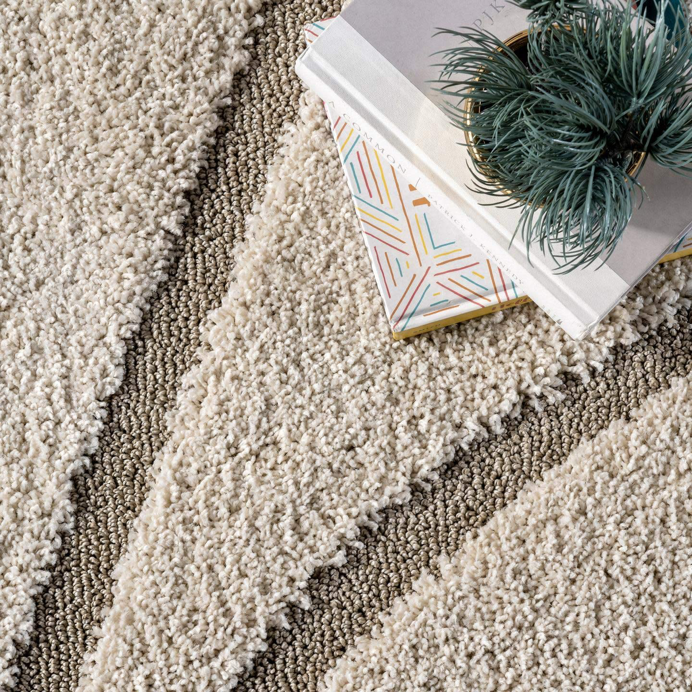 nuLOOM Carolyn Cozy Soft & Plush Shag Accent Rug, 2' x 3', Cream