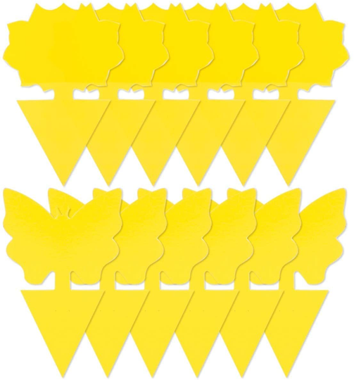 12 Pack Sticky Fruit Fly Trap and Fungus Gnat Traps Killer for Indoor and Outdoor, Protect The Plant, Non-Toxic and Odorless