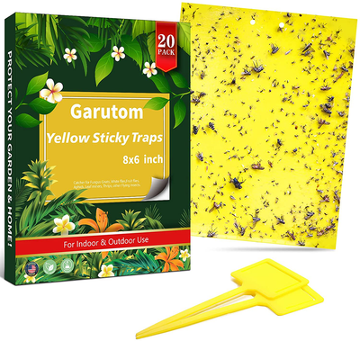 Dual-Sided Yellow Sticky Traps for Flying Plant Insect Such as Fungus Gnats, Whiteflies, Aphids