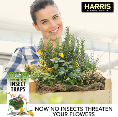 Potted Plant Insect Traps for Gnats, Aphids, Whiteflies and More
