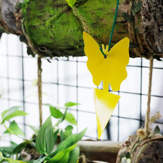 Yellow Sticky Fruit Fly Traps Gnat Trap for Indoor Houseplants 