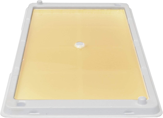 Catchmaster Rat, Mouse, Rodent & Insect Cold Weather Professional Strength Glue Traps - Non Toxic - 6 Glue Trays