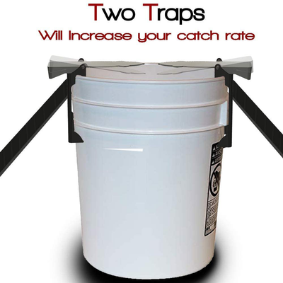  Walk The Plank Mouse Trap | Bucket Mouse Trap | Mini Flip N Slide | 2 Free Ramps Included- Multi Catch , Auto Resetting | Humane | Catch and Release | Or Lethal