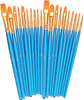 BOSOBO Paint Brushes Set, 2 Pack 20 Pcs Round Pointed Tip Paintbrushes Nylon Hair Artist Acrylic Paint Brushes for Acrylic Oil Watercolor, Face Nail Art, Miniature Detailing and Rock Painting, Blue
