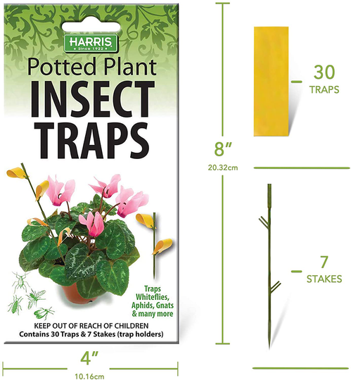 Potted Plant Insect Traps for Gnats, Aphids, Whiteflies and More