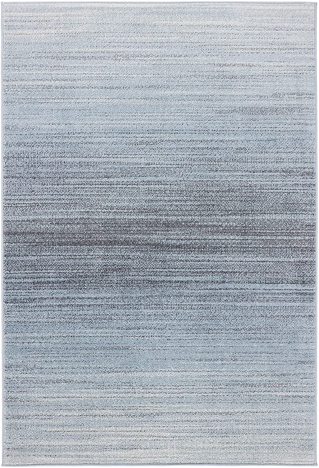 Safavieh Adirondack Collection ADR142G Modern Ombre Accent Rug, 2'6" x 4', Grey / Light Grey