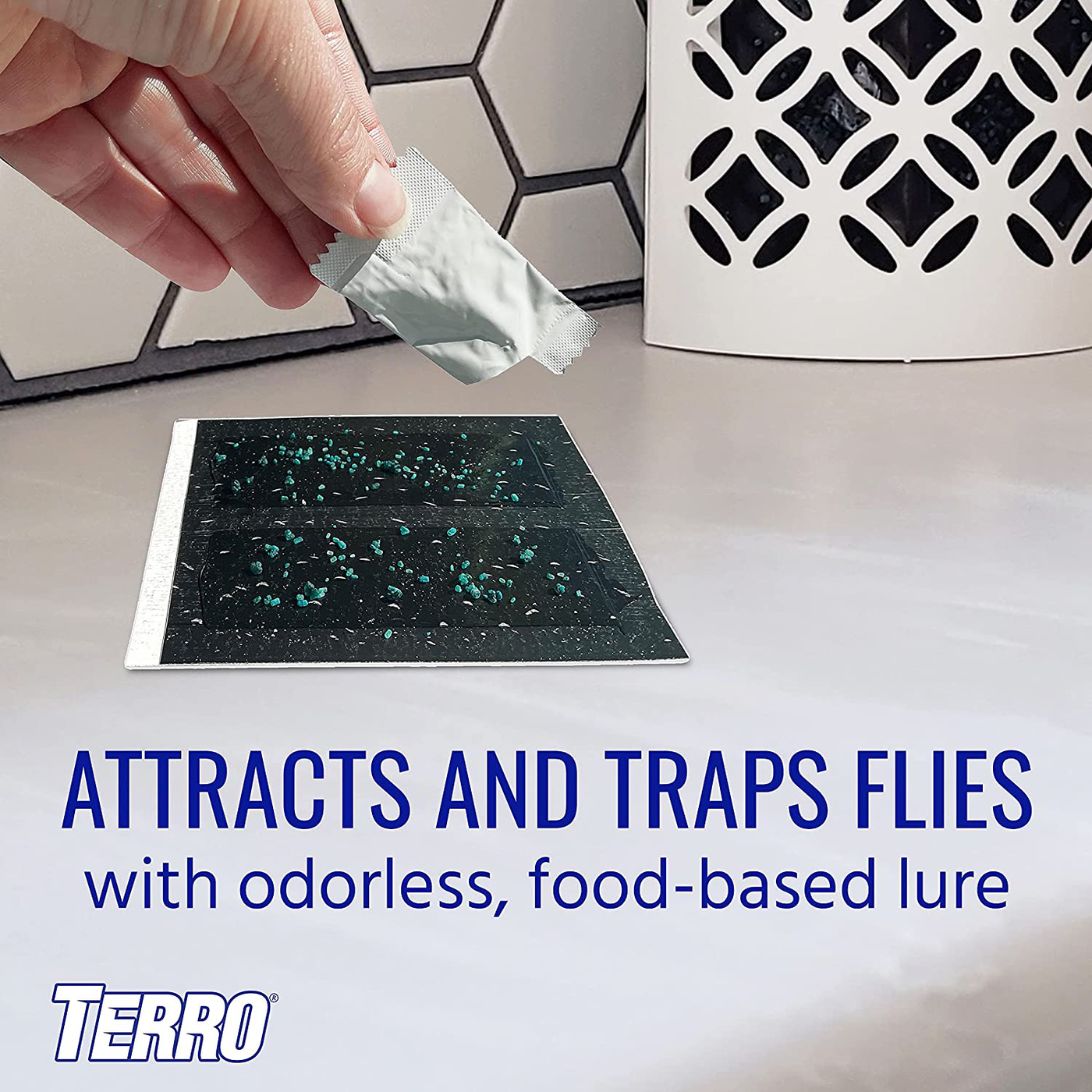 Terro T550 Discreet Indoor Fly Trap Plus Lure, Plain