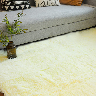 2X3 Cream White Area Rugs for Living Room Super Soft Floor Fluffy Carpet Natural Comfy Thick Fur Mat Princess Girls Room Rug (2X3 Feet, Cream White)