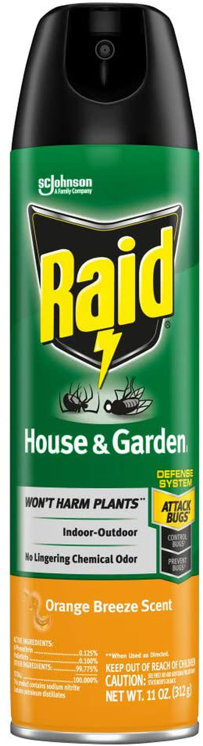 Raid House & Garden Insect Killer Spray, for Listed Ant, Roach, Spider, for Indoor & Outdoor Use, Orange Scent (11 Ounce (Pack of 1)