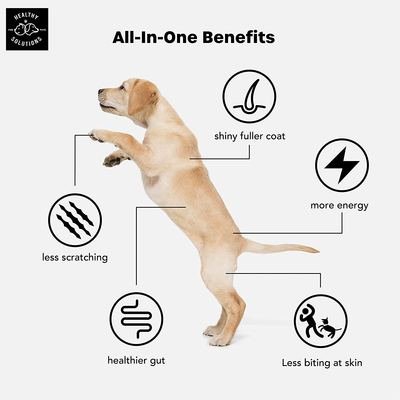 All-in-One Dog Vitamins & Supplements - Dog Multivitamin Supplement for Joint Support, Digestion, Skin, & Coat - Plus Omega-3, 6, 9 - Ultimate Daily Vitamin for Dogs - Made in USA