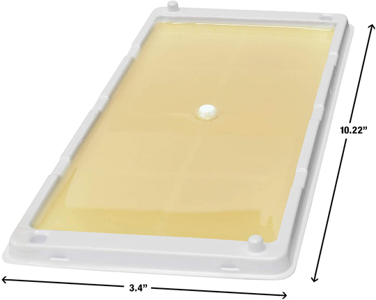 Catchmaster Rat, Mouse, Rodent & Insect Cold Weather Professional Strength Glue Traps - Non Toxic - 6 Glue Trays