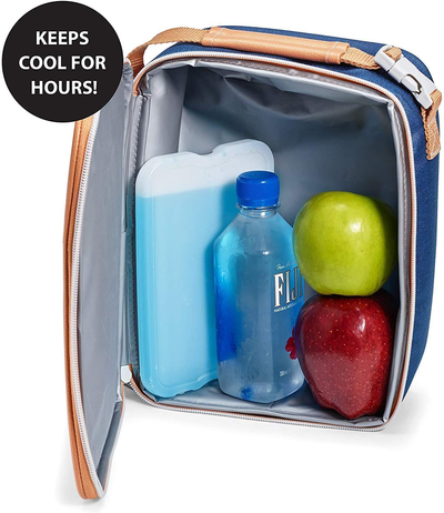 Fit + Fresh XL Cool Coolers Freezer Slim Ice Pack for Lunch Box, Coolers, Beach Bags and Picnic Baskets, Multi-Colored, 4 pack